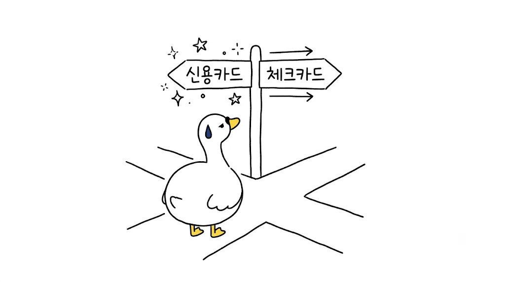 신용카드 체크카드 차이 완전정리 — 혜택·연회비·안전성